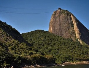 O Pau de Açúcar