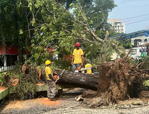 Chuvas fortes causam estragos em Niterói e Maricá