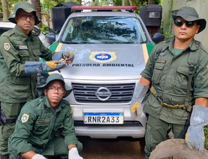 Guarda Municipal de Niterói apreende mais de 600 caranguejos que seriam vendidos ilegalmente