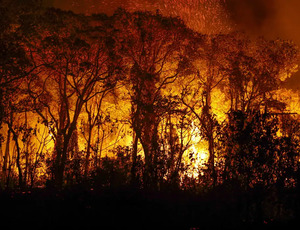 Pantanal tem mais de 3 mil incêndios em novembro; recorde histórico