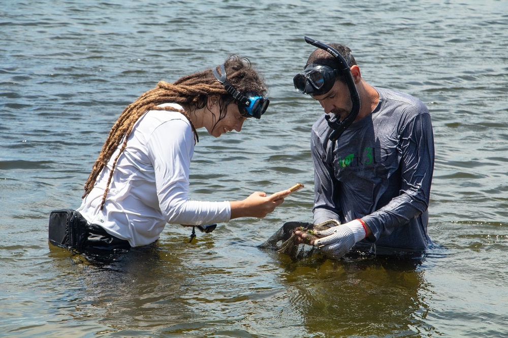 Prefeitura de Niterói está elaborando Inventário da Biodiversidade Faunística da Enseada de Jurujuba