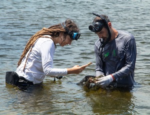 Prefeitura de Niterói está elaborando Inventário da Biodiversidade Faunística da Enseada de Jurujuba