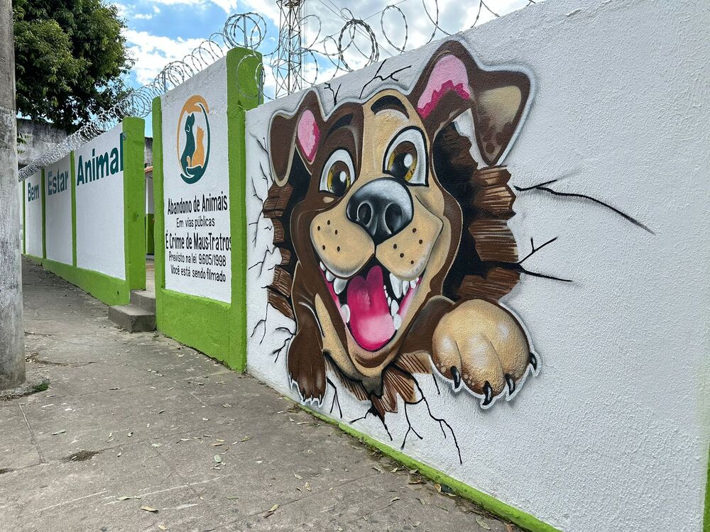 Novo espaço do Bem-Estar Animal de Itatiaia será entregue à comunidade nesta quarta-feira