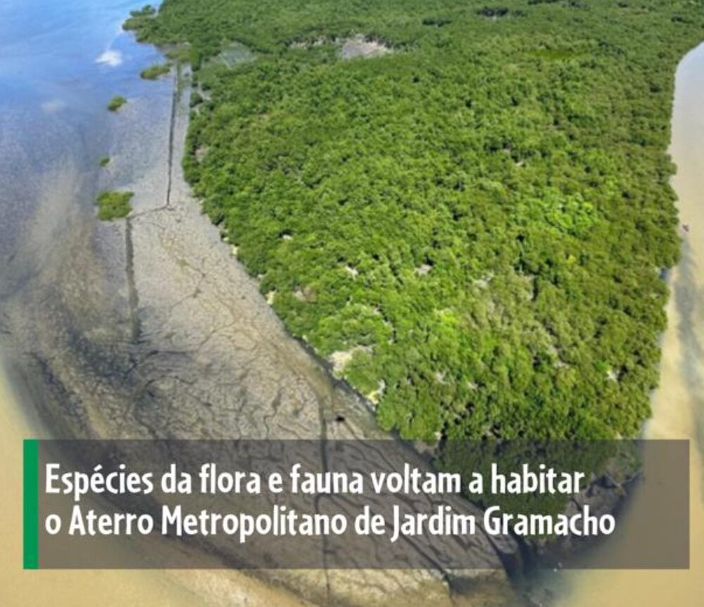 JARDIM GRAMACHO Renasce: Um Exemplo de Recuperação Ambiental para o BRASIL