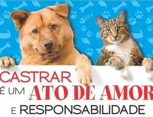 CASTRAÇÕES DE CÃES E GATOS ( Você conhece os benefícios?)