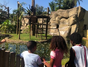 Visita ao BioParque marca encerramento da Semana Nacional do Migrante e do Refugiado