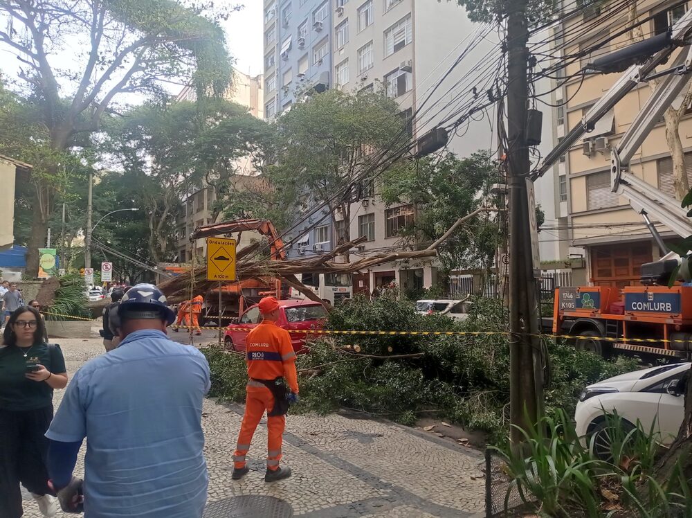 Árvore cai e deixa adolescente ferido na Zona Sul do Rio