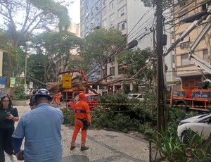 Árvore cai e deixa adolescente ferido na Zona Sul do Rio