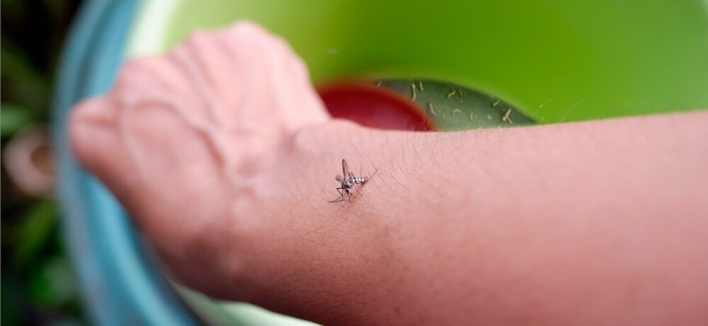 Saúde lança campanha nacional de combate à dengue, zika e chikungunya