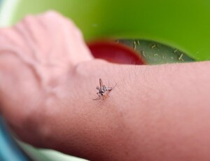 Saúde lança campanha nacional de combate à dengue, zika e chikungunya