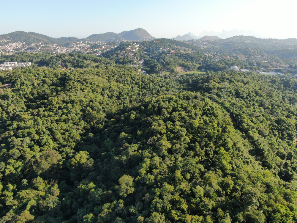 Prefeitura de Niterói realizará consulta pública para a criação da 11ª Unidade de Conservação Municipal