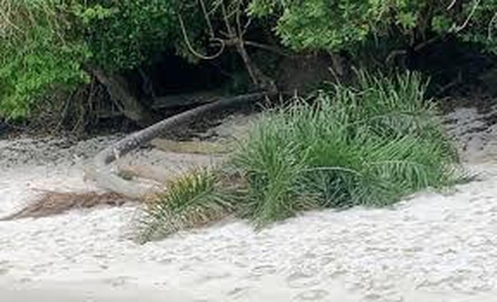 Angra dos Reis: de promessa de balneário internacional à rápida decadência