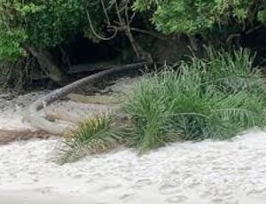 Angra dos Reis: de promessa de balneário internacional à rápida decadência