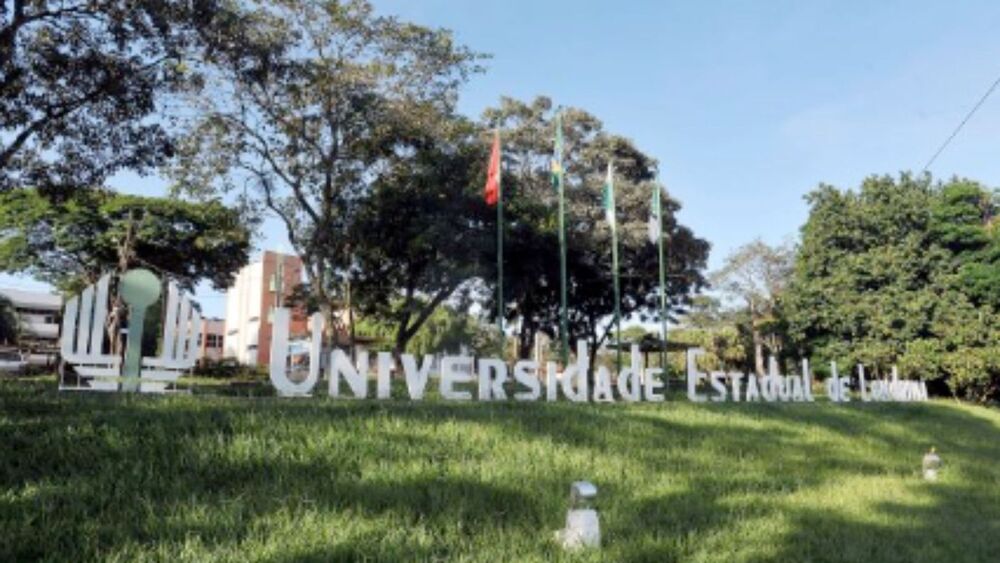 Universidade pública de Londrina cancela prova que reservava até 100% das vagas de residência médica para cotistas