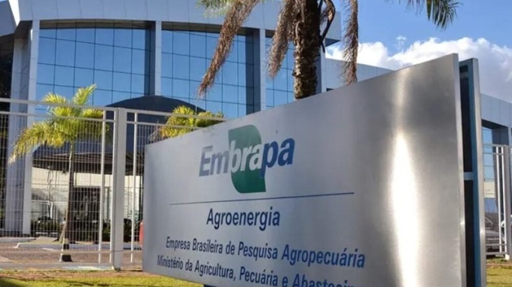 Embrapa abre mais de mil vagas com salários de até R$ 12 mil: confira os detalhes do concurso!