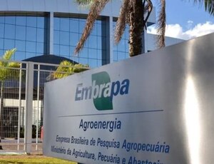 Embrapa abre mais de mil vagas com salários de até R$ 12 mil: confira os detalhes do concurso!