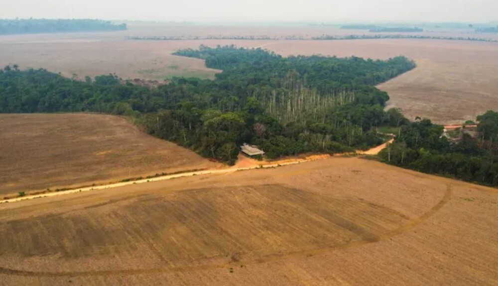 Cercadas pelo veneno, comunidades rurais estão desaparecendo junto com a Amazônia