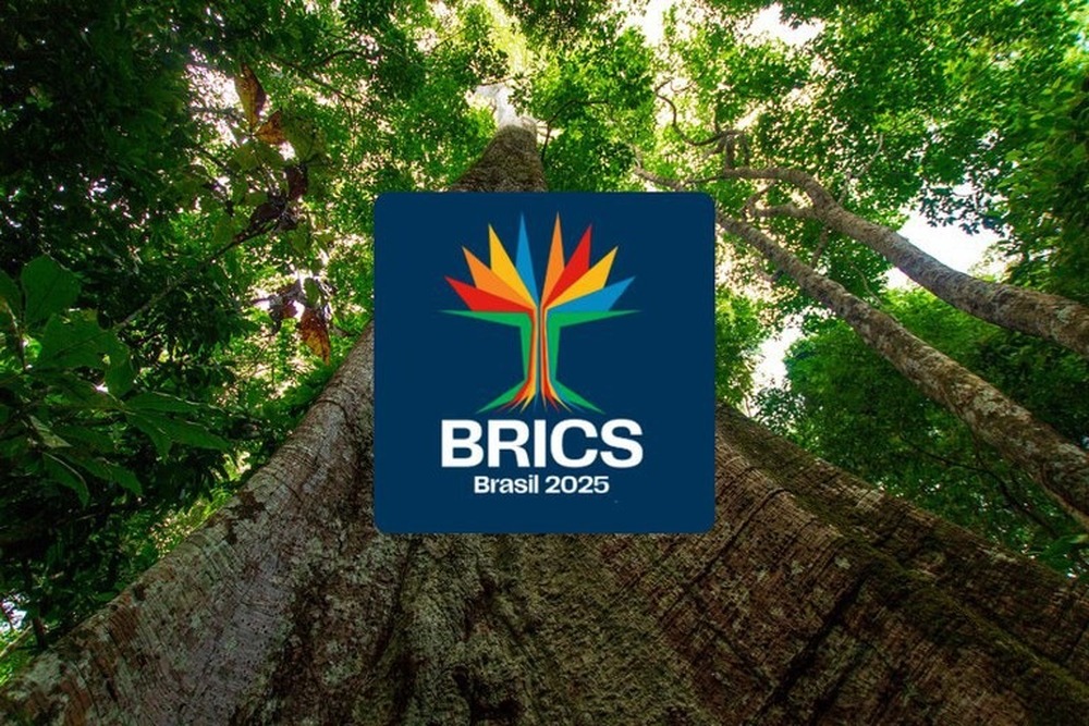 Samaúma é a logomarca do Brics Brasil: árvore amazônica traduz objetivos do grupo