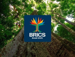 Samaúma é a logomarca do Brics Brasil: árvore amazônica traduz objetivos do grupo