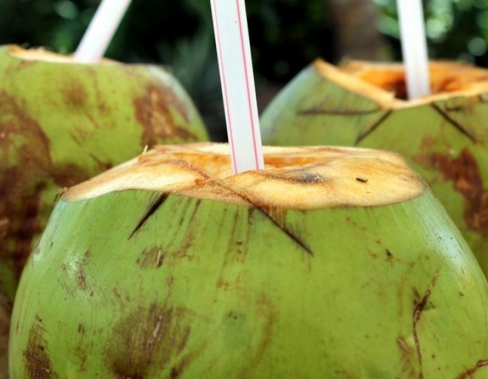 Cinco Razões Para Beber Água de Coco Neste Verão!