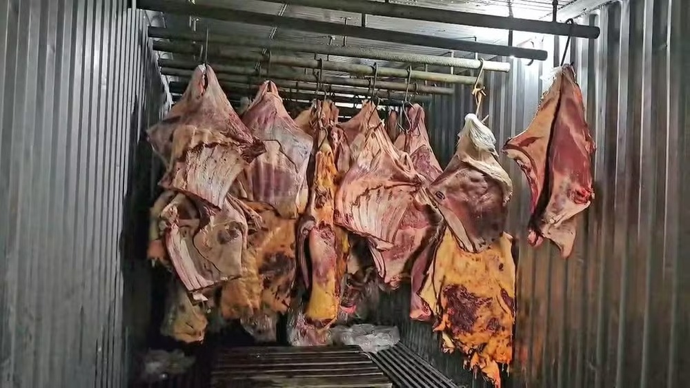 Empresa de Três Rios (RJ) revendeu 800 toneladas de carne podre submersa na enchente de Porto Alegre; sócio é preso