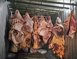 Empresa de Três Rios (RJ) revendeu 800 toneladas de carne podre submersa na enchente de Porto Alegre; sócio é preso