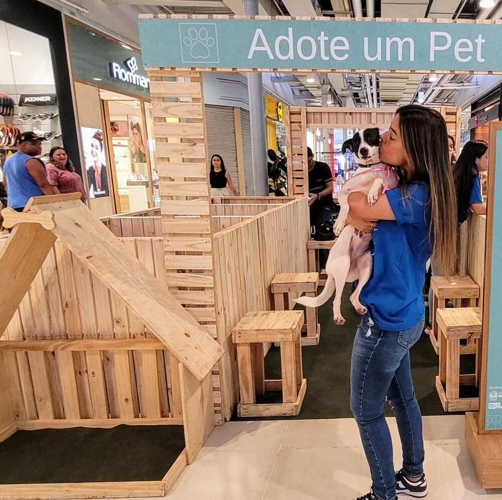 Bangu Shopping realiza Campanha de Adoção de Pets neste sábado, 8 de fevereiro