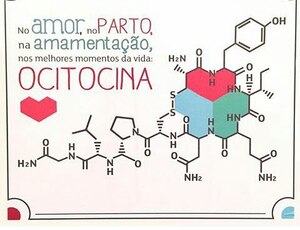 Ocitocina e o sistema de recompensa cerebral.