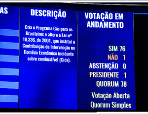 Senado aprova criação de vale-gás para famílias de baixa renda