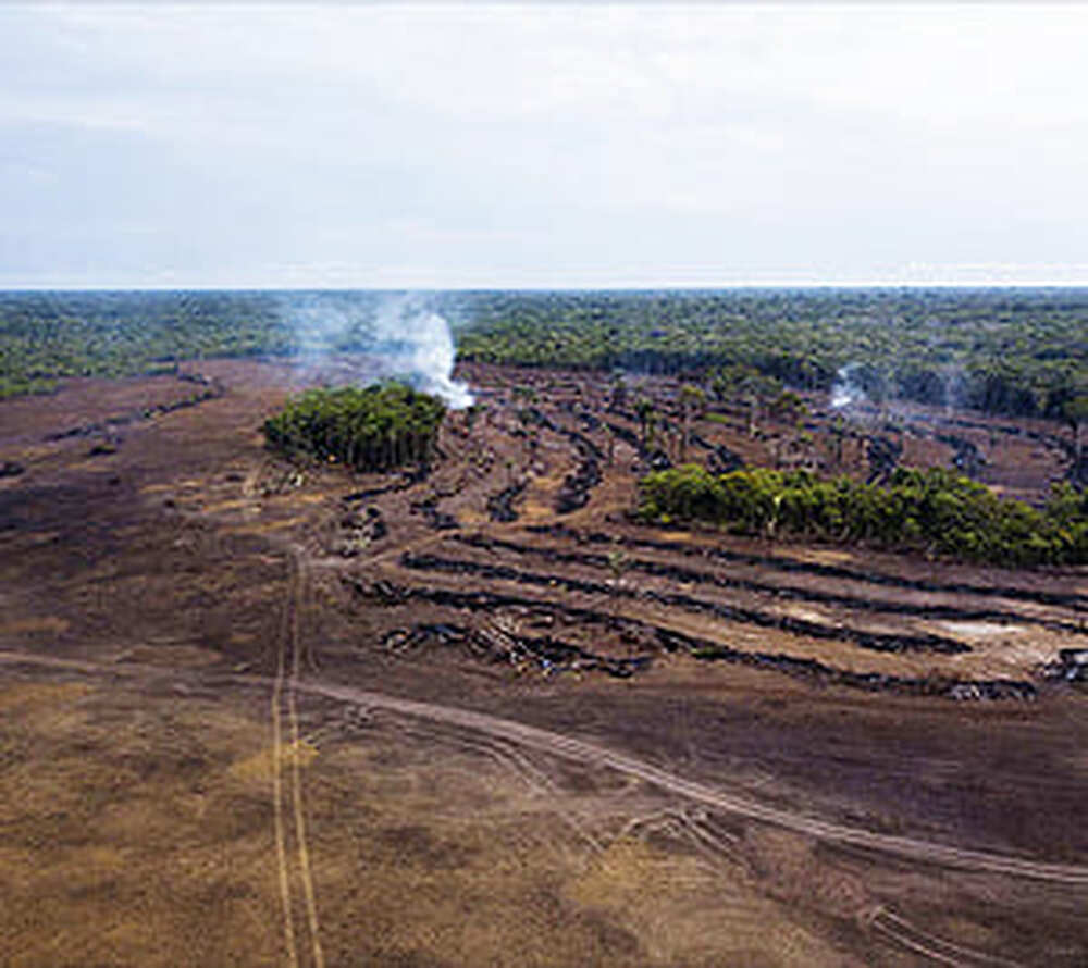 Alertas de desmatamento apontam para 249 km² de destruição na Amazônia em novembro