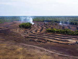 Alertas de desmatamento apontam para 249 km² de destruição na Amazônia em novembro