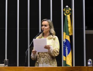 Câmara dos Deputados passa a ter Secretaria voltada para a primeira infância