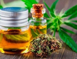 Produto à base de Cannabis, fabricado no Brasil pela Ease Labs, recebe o aval da Anvisa para comercialização em farmácias